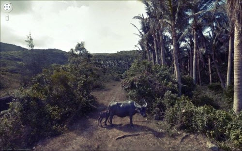 Ngắm 10 bức ảnh đẹp mê hồn trên street view