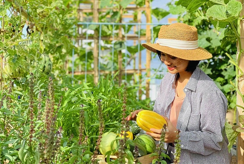 Nghỉ dịch mẹ đảm đà nẵng làm vườn rau xanh trên mái tuyệt đẹp cả nhà ăn mãi không hết