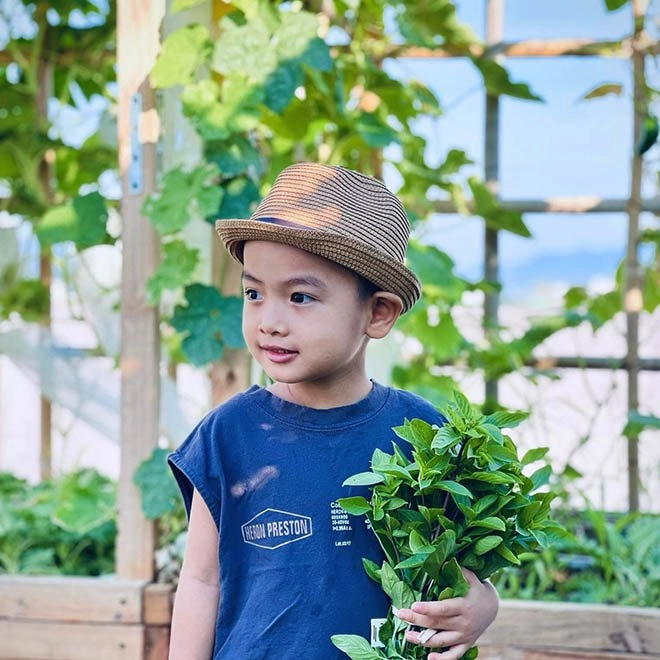 Nghỉ dịch mẹ đảm đà nẵng làm vườn rau xanh trên mái tuyệt đẹp cả nhà ăn mãi không hết