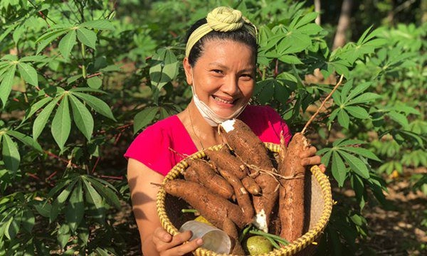 Sau một mùa dịch sao việt hóa nông dân nuôi gà trồng rau ăn ngay trong biệt thự