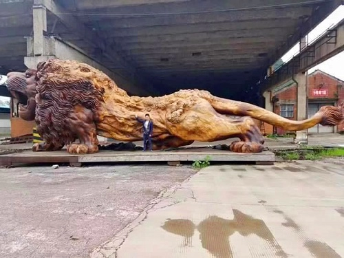 Sự thật ngỡ ngàng đằng sau bức tượng sư tử gỗ khổng lồ đang nổi như cồn trên mxh