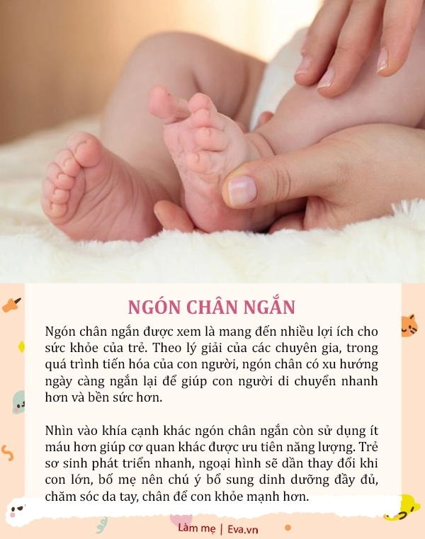 Trẻ có 5 đặc điểm này tưởng xấu xí nhưng báo hiệu bé khỏe có tố chất thiên tài