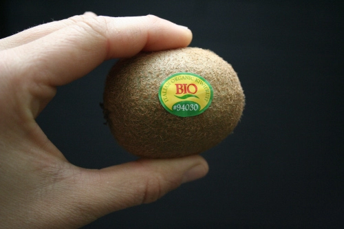 Trồng kiwi trong chậu mát nhà mà sướng miệng