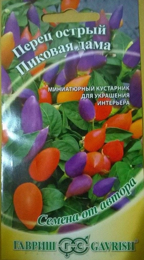 Trồng ngay ớt bi đủ màu vừa đẹp nhà mà lại hợp phong thủy