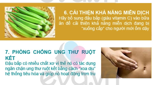 Vừa ngon vừa bổ như đậu bắp