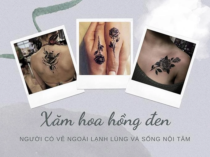 Ý nghĩa hoa hồng đen - loài hoa bí ẩn hiếm có