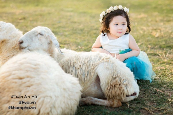 Bé gái gây sốt trong bộ ảnh làm bạn với cừu ngoài đời còn xinh xắn dễ thương hơn nhiều