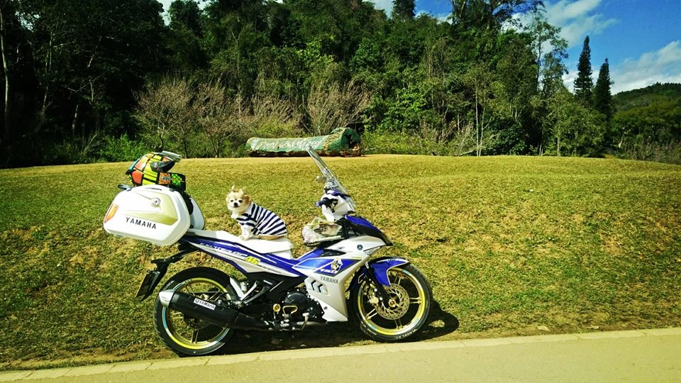 Bộ ảnh chú cún đáng yêu đi phượt trên chiếc exciter 150 độ của biker nước bạn