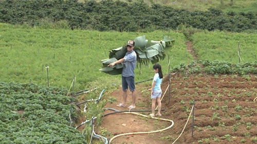 bố ơi con hoàng bách lại khóc vì thua cuộc