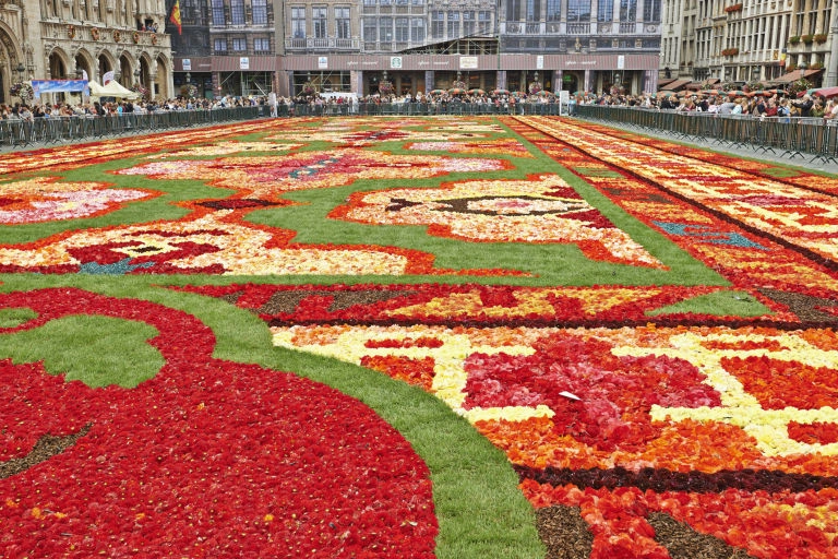 Choáng ngợp thảm hoa 700000 bông phủ kín quảng trường