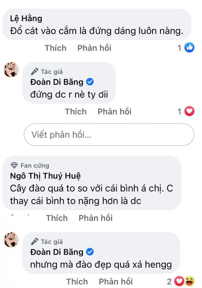 Đại gia đoàn di băng trang trí nhà lộng lẫy suýt phải chơi trội tuyển người đỡ cành đào huyền xuyên tết