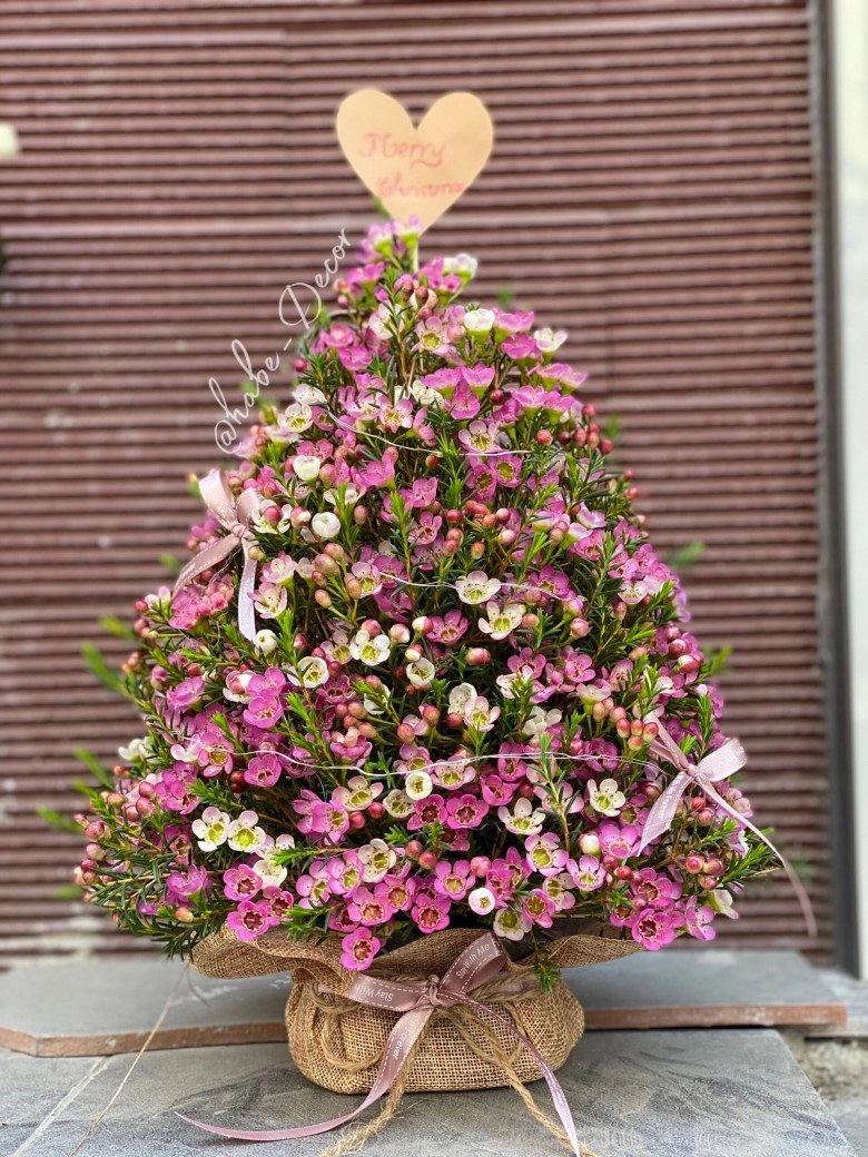 Độc lạ 9x hải phòng hô biến cây thông nở hoa đủ màu cắm hàng trăm bình hoa thông dịp giáng sinh