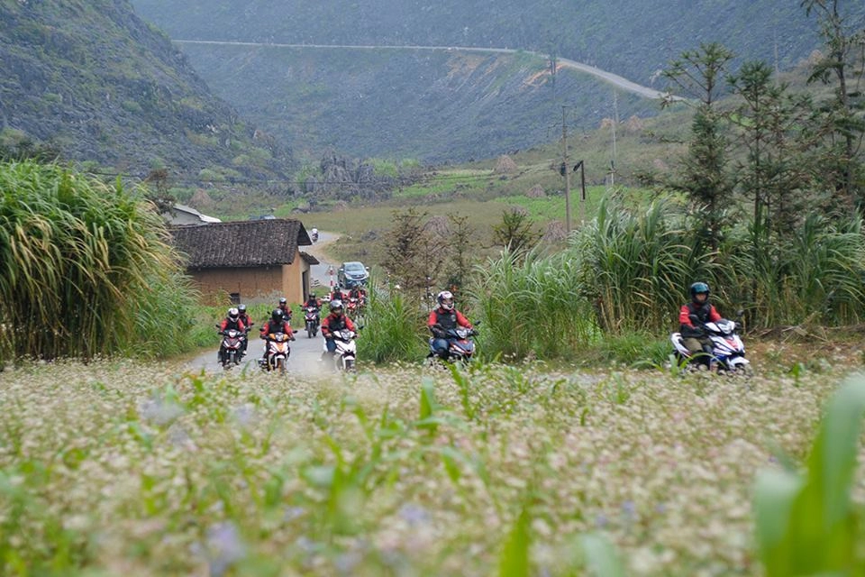 Hà giang - những cung đường vàng nắng