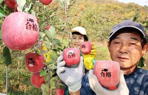 Hình dáng lạ lùng của các loại quả khiến bạn phải dụi mắt xem lại