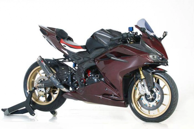 Honda cbr250rr độ cực khủng với thân hình carbon