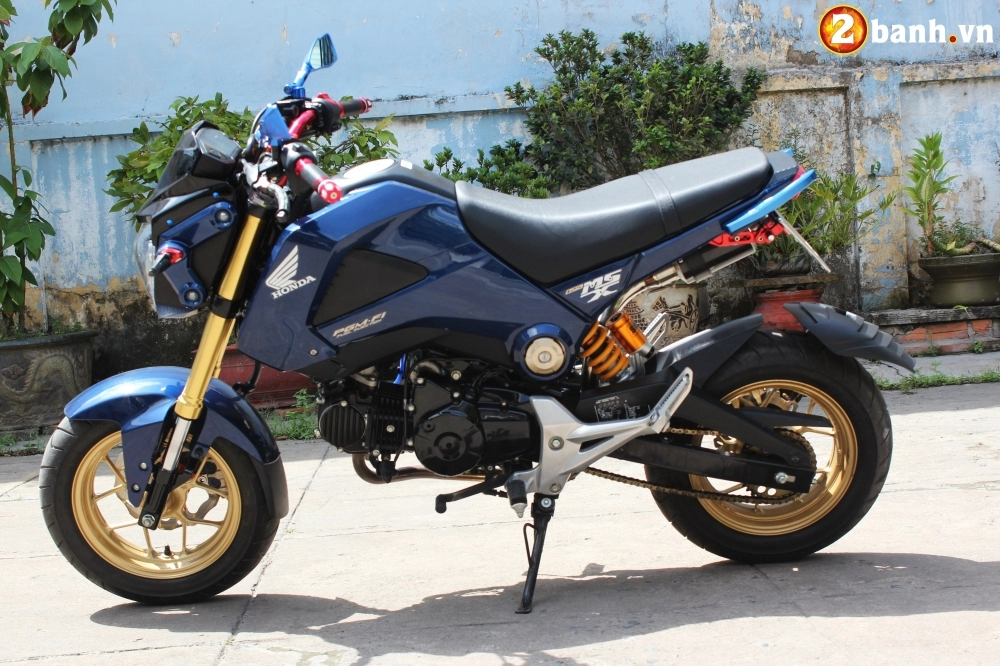 Honda msx 125 chiến binh đường phố với bản độ phá cách