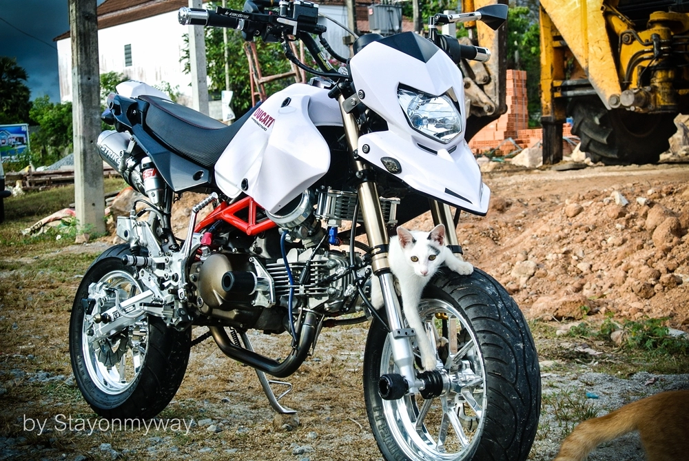 Kawasaki ksr độ thành ducati hypermotard