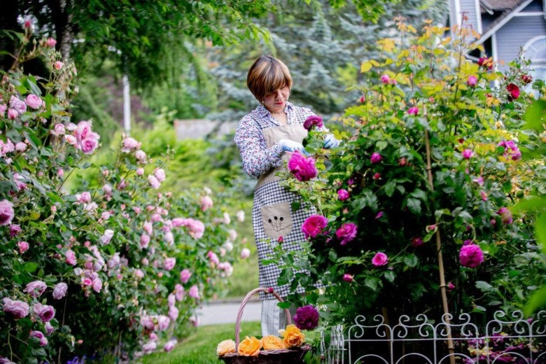 Mẹ việt dành 10 năm làm vườn từ 10m2 trồng rau thơm đến khu vườn cổ tích 1000m2