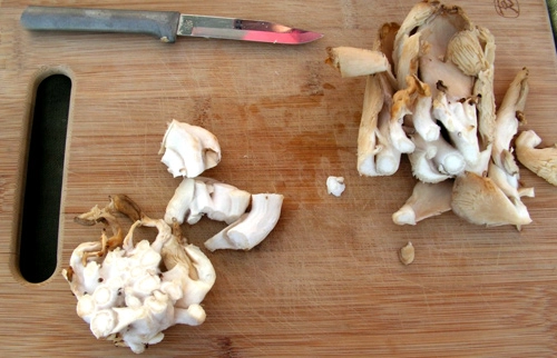 Nấm sò ngon bổ thế sao không trồng ngay nấm siêu sạch tại nhà khỏi lo về giá