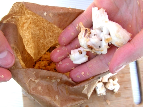 Nấm sò ngon bổ thế sao không trồng ngay nấm siêu sạch tại nhà khỏi lo về giá