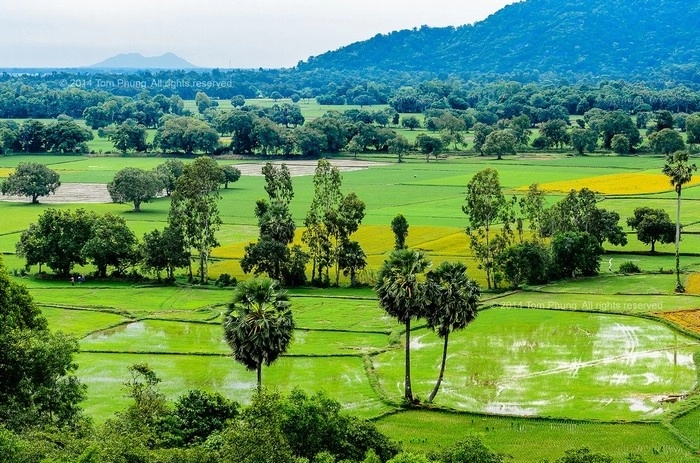 Ngắm những ô màu trên cánh đồng tà pạ khi du lịch an giang