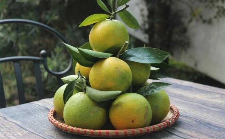 Tết thắp hương nhớ đặt 5 loại quả này trên bàn thờ cả năm phát tài bình an