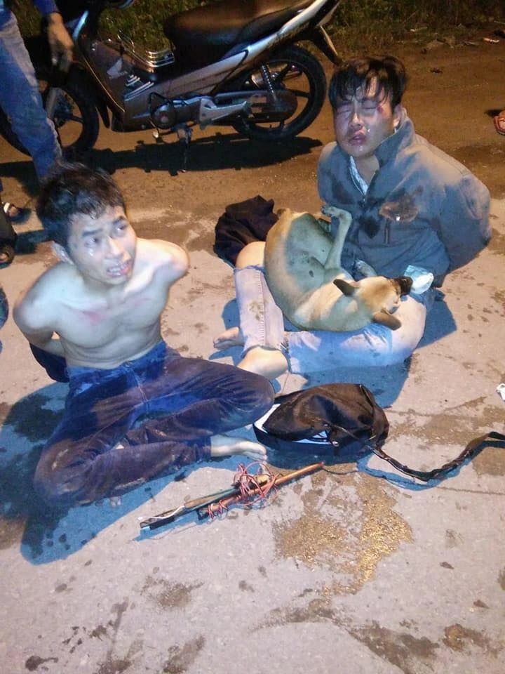 Thanh niên chạy exciter 150 trộm chó bị bắt trong đêm