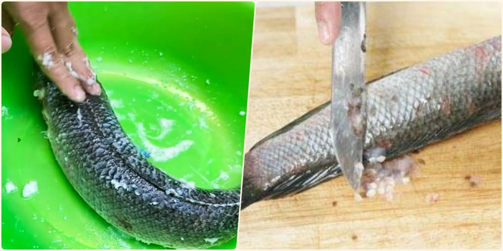 4 cách nấu canh chua cá lóc ngon chuẩn vị giải nhiệt ngày hè