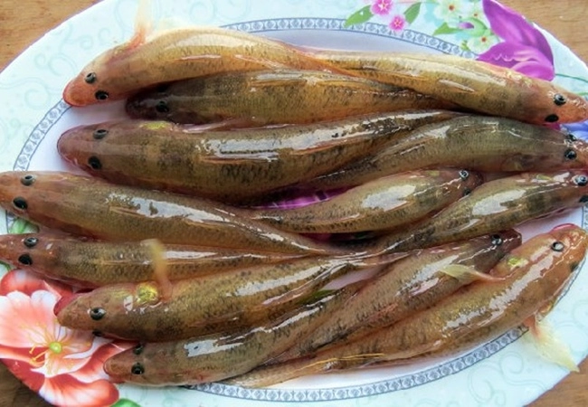 5 cách kho cá bống thơm ngon đậm đà đưa cơm