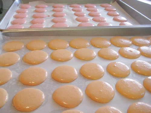 Đổi vị bánh macaron với công thức mới toanh