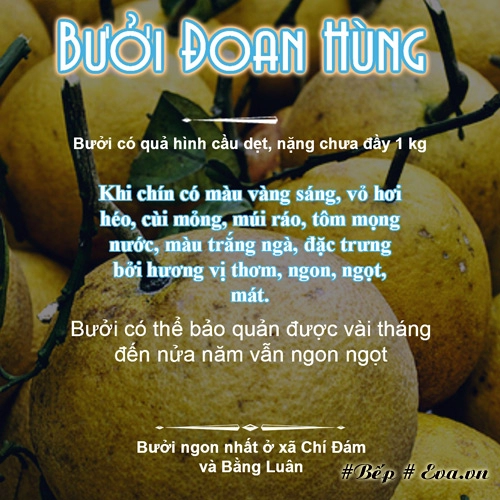 Dù ai đi ngược về xuôi nhớ ngày giỗ tổ