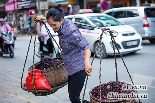 Mùa dâu tằm về chọn quả ngon ngâm nước uống thôi