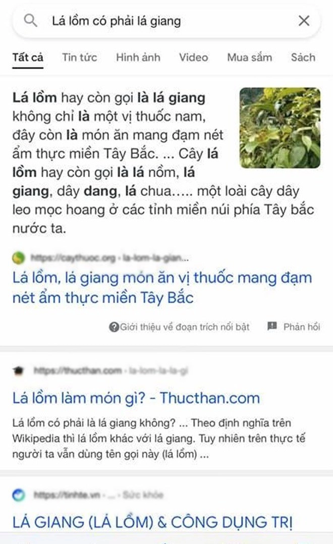 Sao nam mua lá rừng về cho vợ nấu canh cười sặc vì tên lạ cuối cùng quê một cục