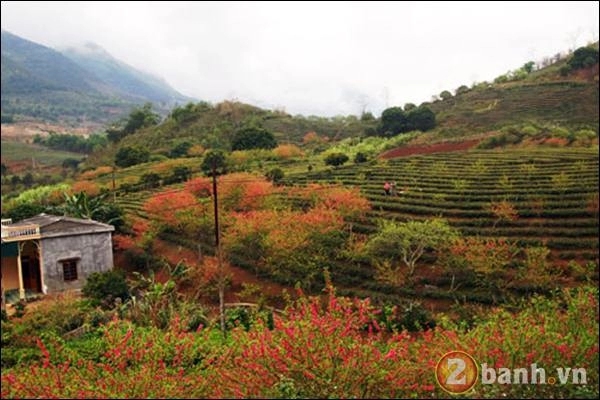 Tà chì nhù - đại dương trên mây