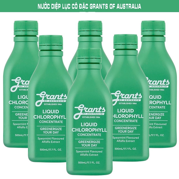 Yêu bản thân từ trong ra ngoài với diệp lục cô đặc hảo hạng grants of australia liquid chlorophyll