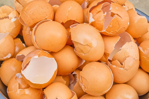 Ăn xong đừng vứt bỏ nướng vỏ trứng lên bạn sẽ thấy ngay tác dụng diệu kỳ