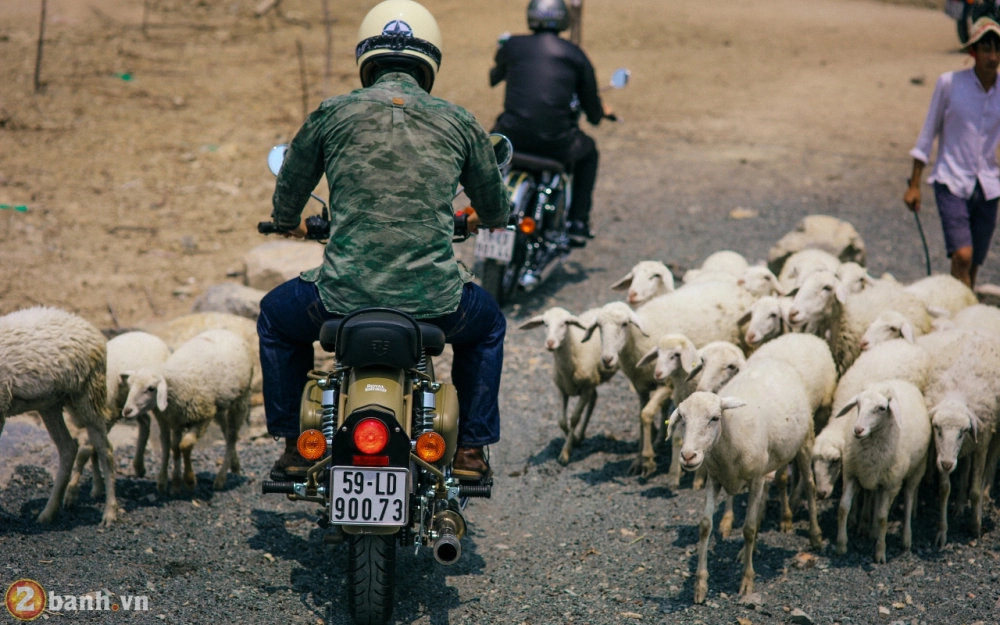 Một ngày trải nghiệm các dòng xe royal enfield tại thành phố biển vũng tàu