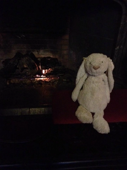 Thỏ bông đi lạc được khách sạn đối đãi như khách vip