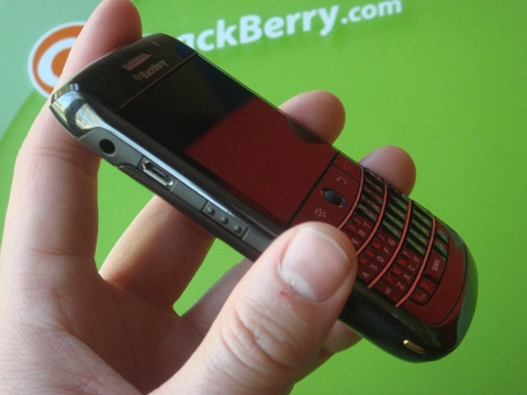 Cận cảnh blackberry onyx