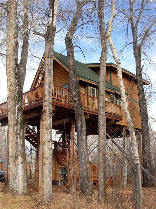 Choáng ngợp kiến trúc tuyệt đẹp của những căn nhà trên cây