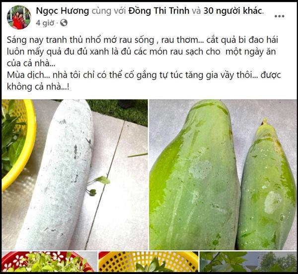 Mẹ ruột hồ ngọc hà trồng đủ loại cây trong biệt thự hào hứng đứng lên vai chồng thu hoạch