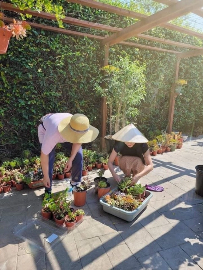 Sao nữ sang mỹ làm vườn như ở quê có người chồng đầy tiền vẫn chiều vợ cuốc đất trồng từng cây