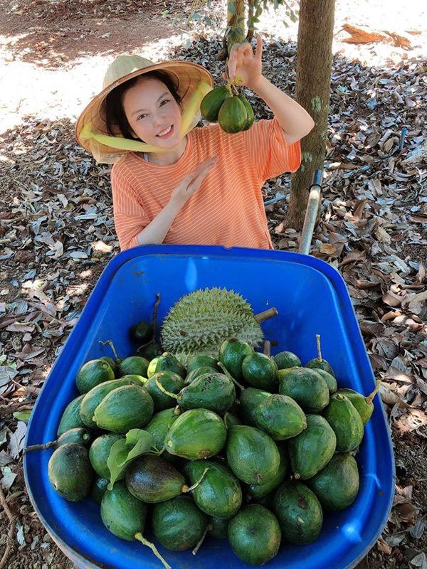 Sao việt sở hữu những khu vườn tiền tỷ ngọc sơn được tặng bằng kiều có thú chơi đắt đỏ