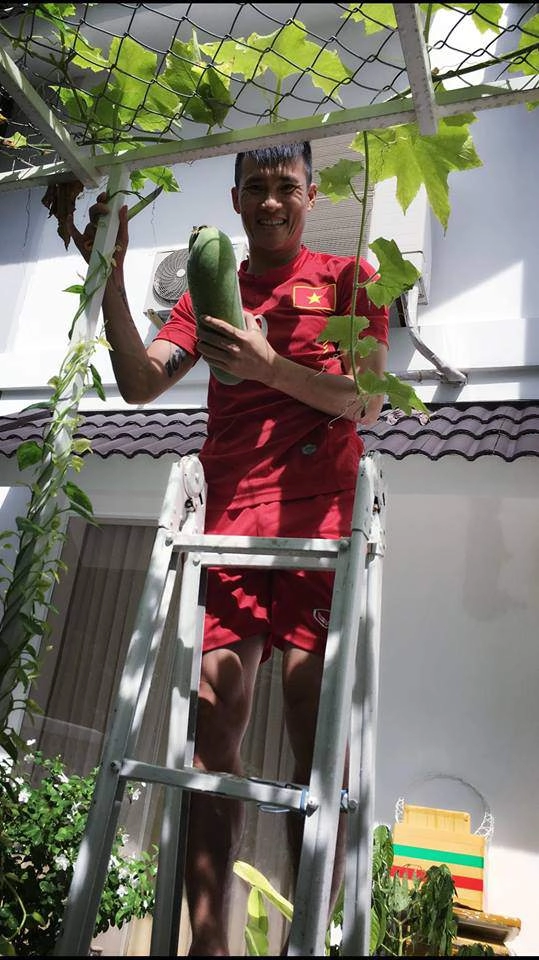 Vợ chồng công vinh - thủy tiên tươi rói khoe những lần hái quả sai trĩu trong vườn nhà