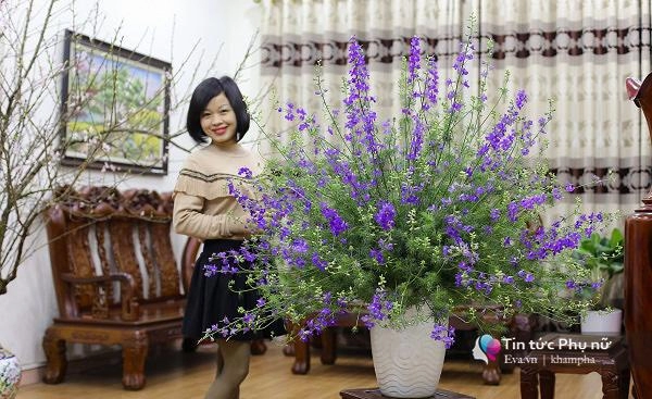 83 cắm bình hoa violet tím thủy chung để gửi lời chúc đẹp nhất đến một nửa thế giới