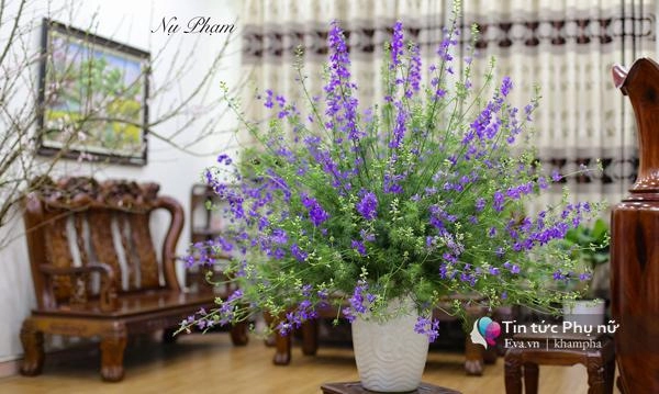 83 cắm bình hoa violet tím thủy chung để gửi lời chúc đẹp nhất đến một nửa thế giới