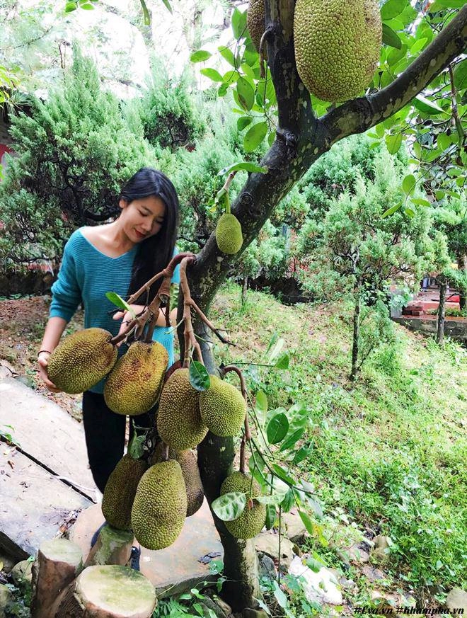 Chốn đi về bình yên ngập tràn hoa trái ai cũng mơ của người phụ nữ hà nội đa tài