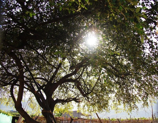 Cung đường biển phan rang - vĩnh hy