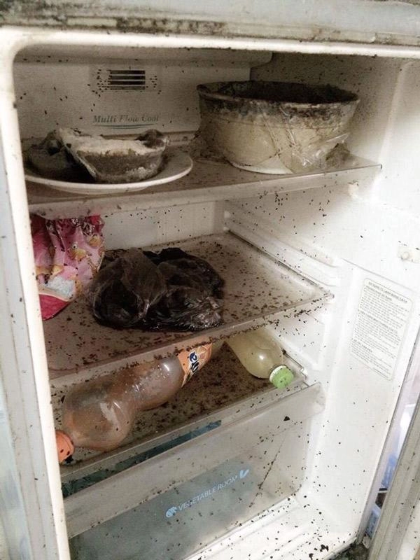 Dân mạng phát hoảng với chiếc tủ lạnh thối rữa vì bị bỏ quên trước tết