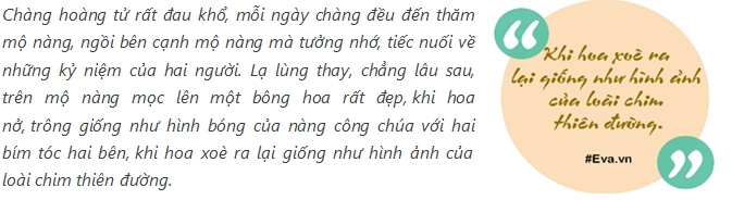 Mê mẩn muôn cách cắm hoa thiên điểu - loài hoa chim thiên đường đẹp kiêu sa của mẹ việt